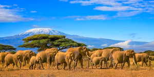 Kenya