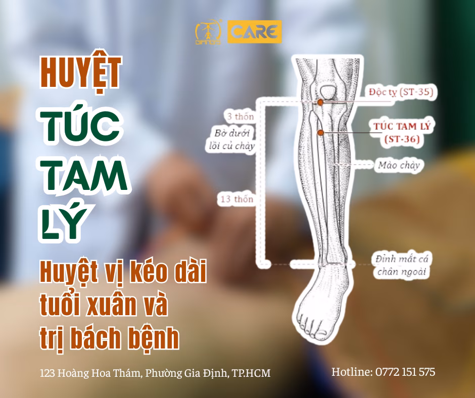 HUYỆT TÚC TAM LÝ - HUYỆT VỊ KÉO DÀI TUỔI XUÂN VÀ 