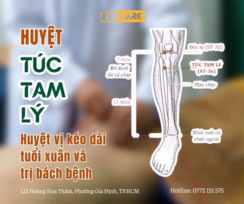 HUYỆT TÚC TAM LÝ - HUYỆT VỊ KÉO DÀI TUỔI XUÂN VÀ "TRỊ BÁCH BỆNH"